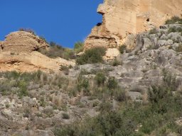 Castillo de Pliego 2009